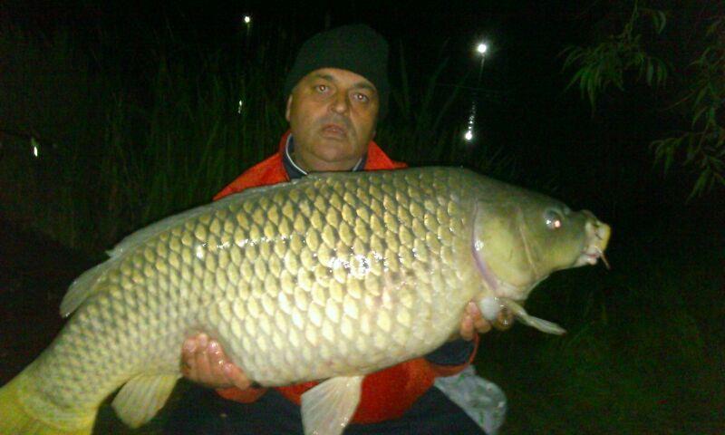 2014 Balta Lazar Alexandria - img-20140505-wa0014.jpg